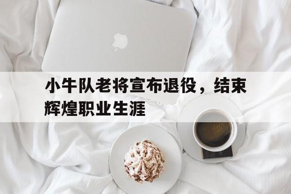 小牛队老将宣布退役，结束辉煌职业生涯